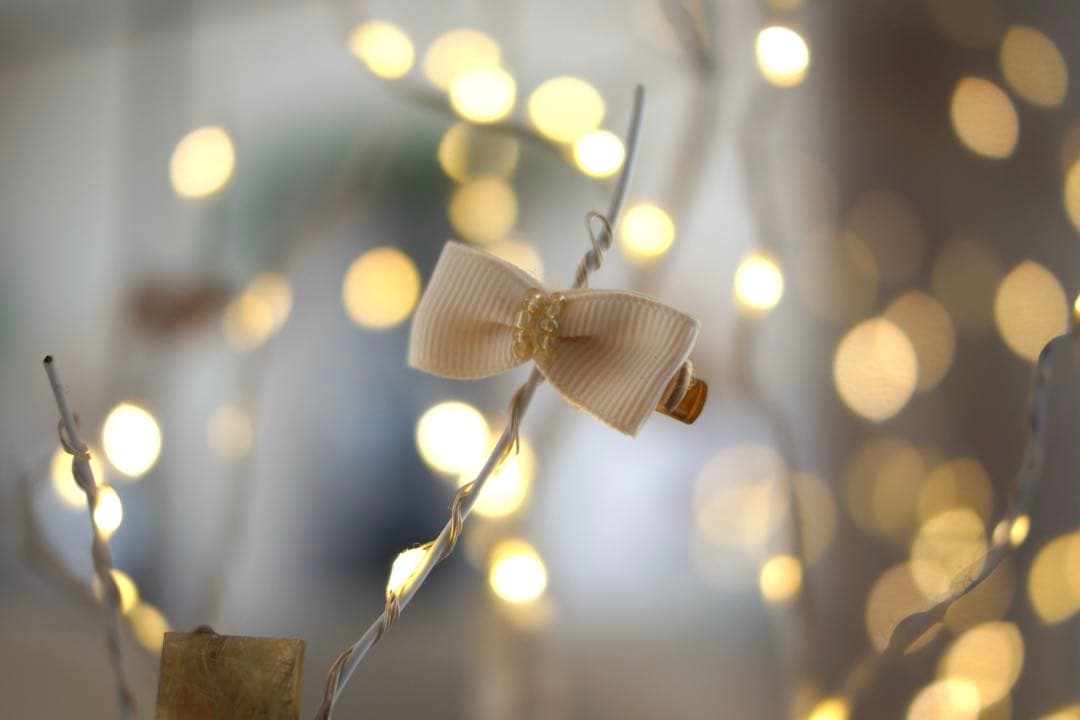 SONY【Aマウント】DT35mm F1.8 SAM SAL35F18