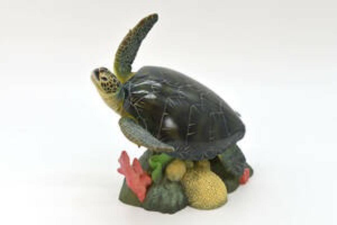 naturetales  アオウミガメ　コールドキャスト製　フィギュア　海洋堂