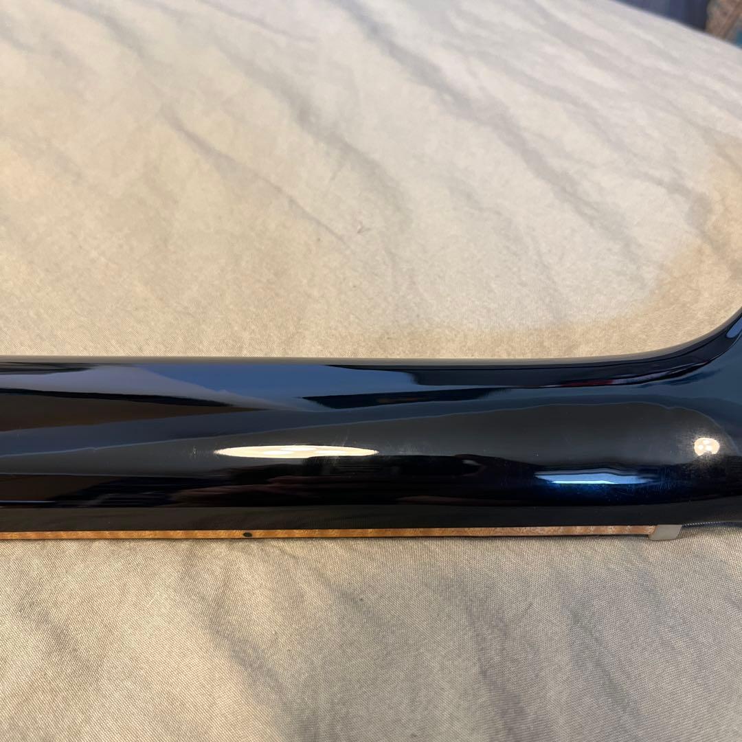 Fujigen Expert FL レスポール