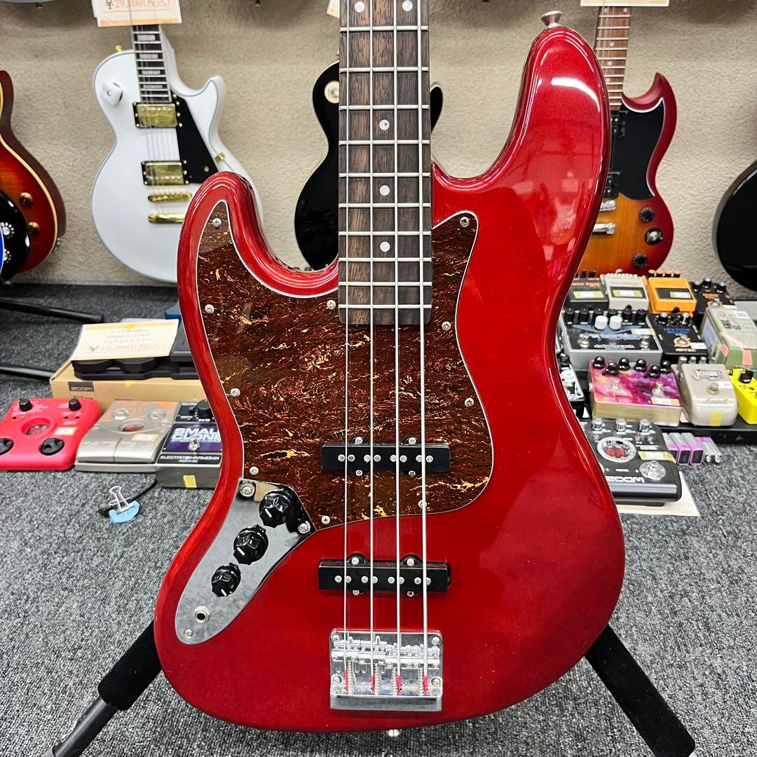 ケース追加【11205】【左利き用】 Legend by Aria Pro II