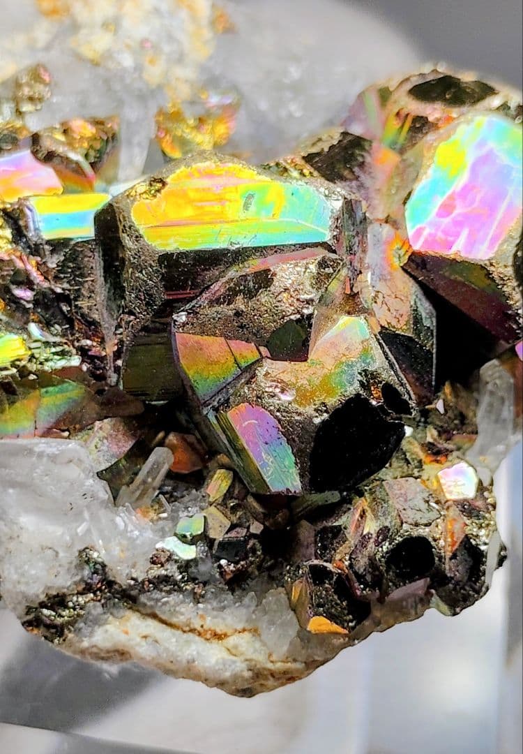 【コレクター向】レインボーパイライト イリデッセンスパイライト 水晶 共生