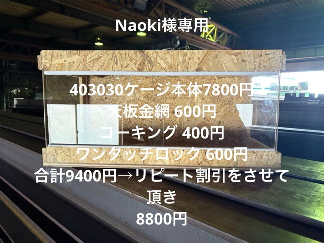 Naoki　403030