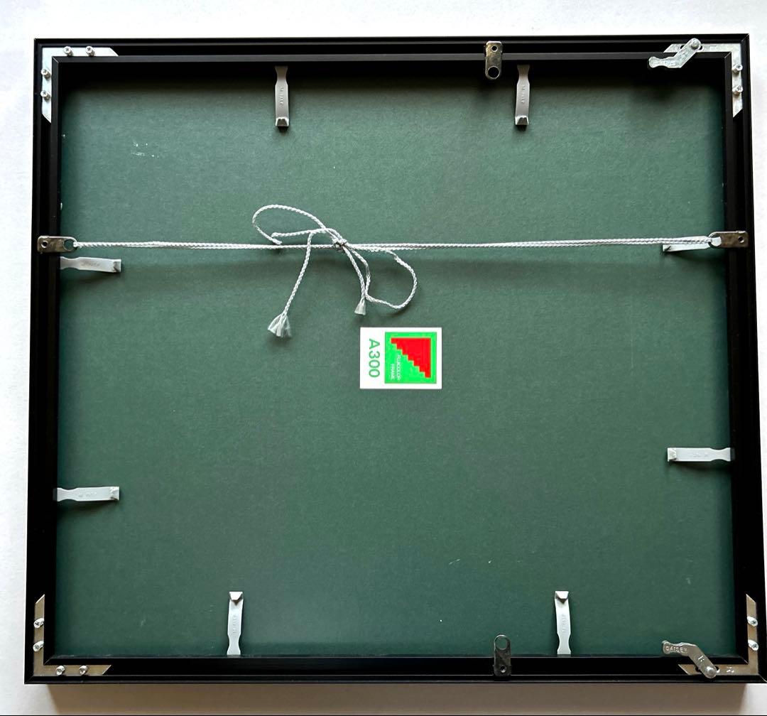 富士アルミ写真額全紙