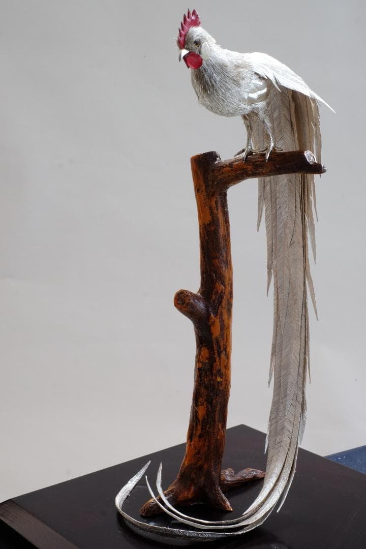 光則作　大淵武則　純銀製　尾長鶏　ガラスケース　収納箱　 純銀 ガラスケース付