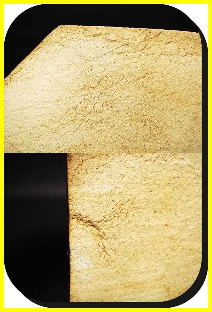 ma602⑤『黄瀬戸 菖蒲 隅切皿』＊　/骨董品 古美術 古道具 アンティーク