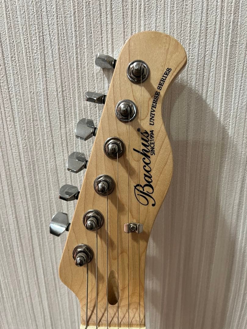 Bacchus BTE-1/M BBD バッカス テレキャスタイプ スタンド付き