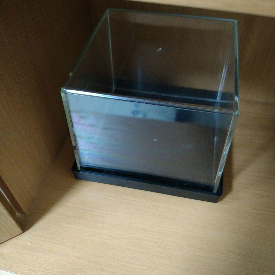 【匿名配送】立体ポケモン図鑑BW MOVIE 16th ver イーブイフレンズ