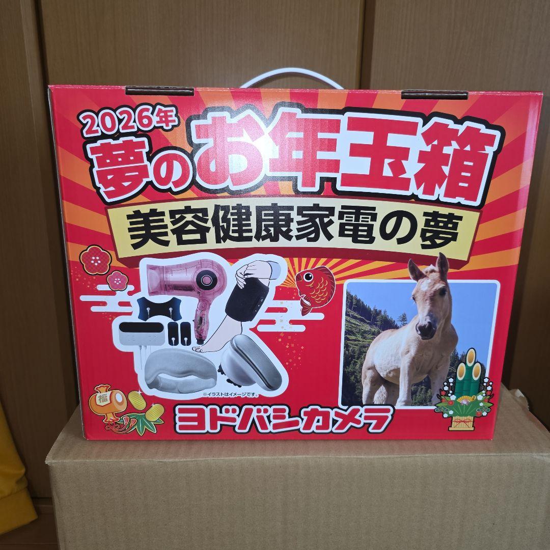 ヨドバシカメラ　美容健康家電の夢　2026　抜き取りあり　ドライヤー