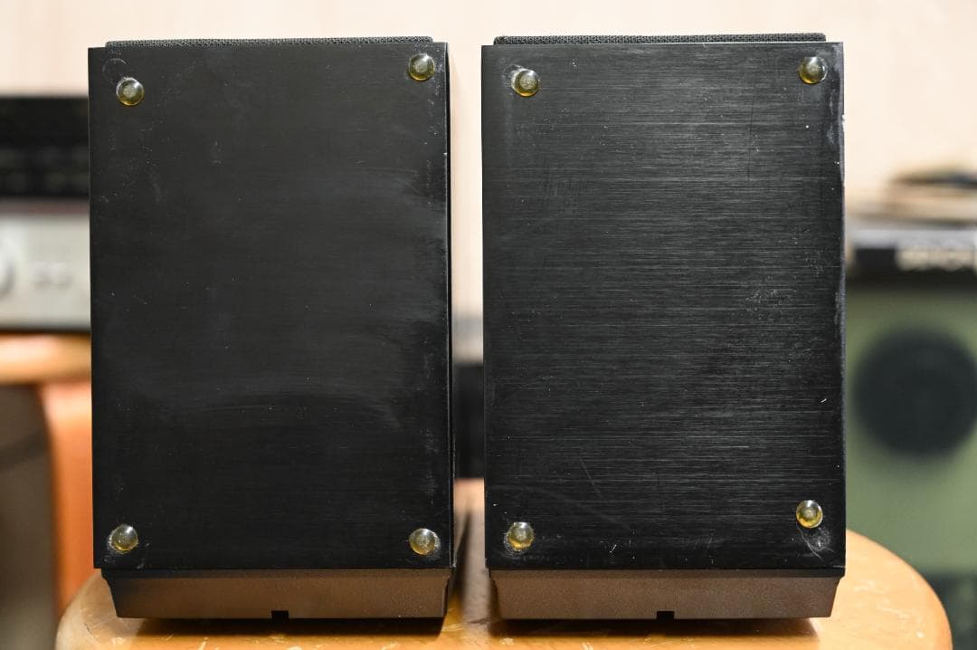 Bang & Olufsen Beovox CX50 スピーカー　専用出品です。