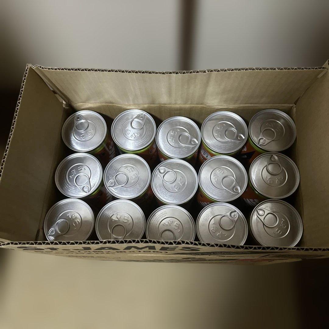 ダンロップ セントジェームス テニスボール 60球