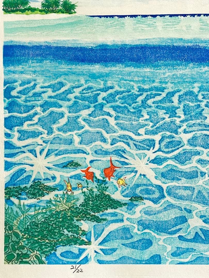 #『Southern blue 』　カノコダカラ貝