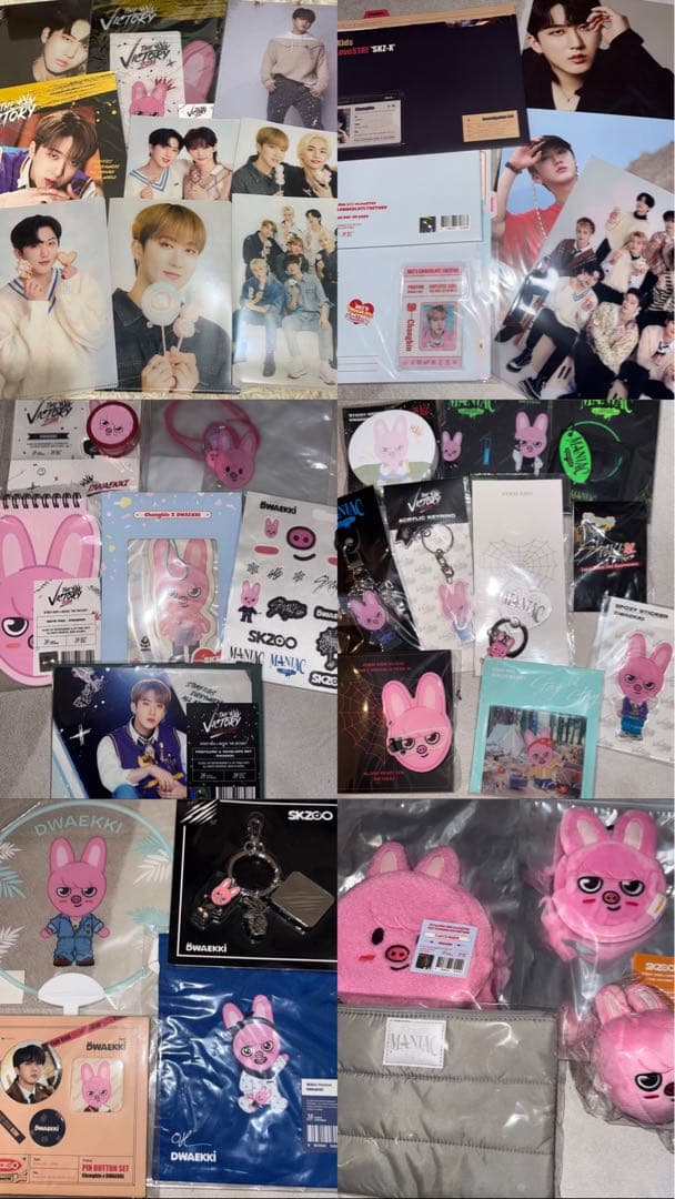 straykids スキズ チャンビン SKZOO グッズまとめ売り