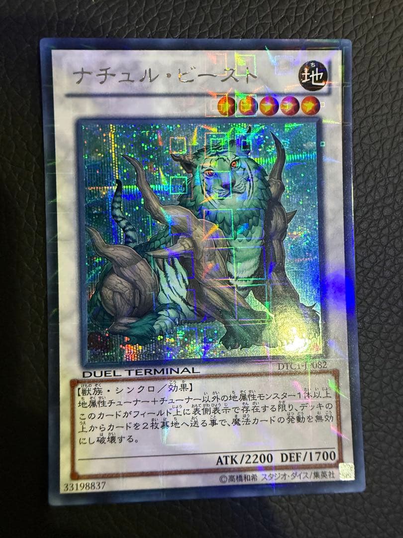 ナチュル・ビースト　dtc