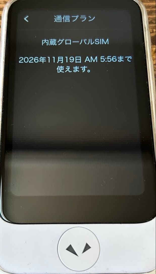 本日限定値下げ　POCKETALK (ポケトーク) S2 Plus 翻訳機