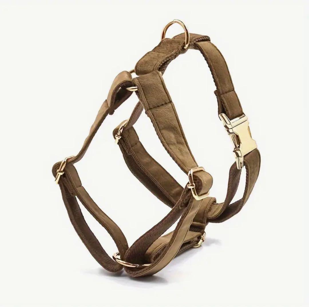 オーダー 名前 ネイム 首輪 ピンク リード ハーネス セット ベルベット