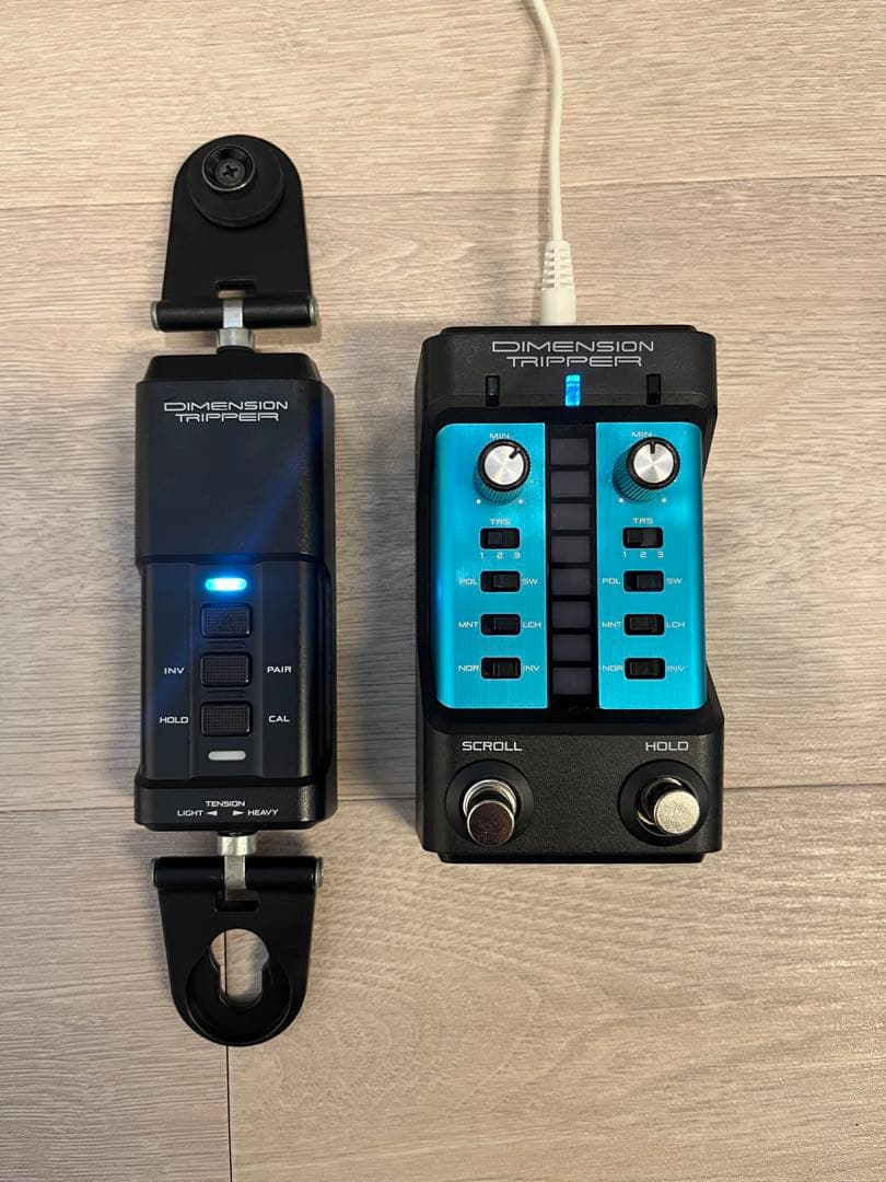 ギター CASIO DIMENSION TRIPPER