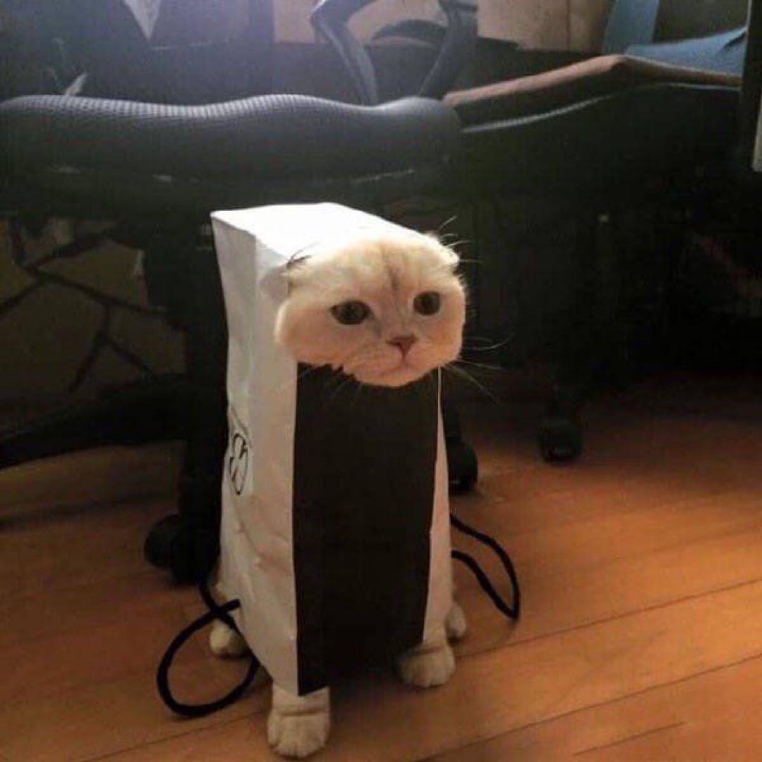 専用　インディアンモーターサイクル　カウレザー　牛革　シングル　レザージャケット