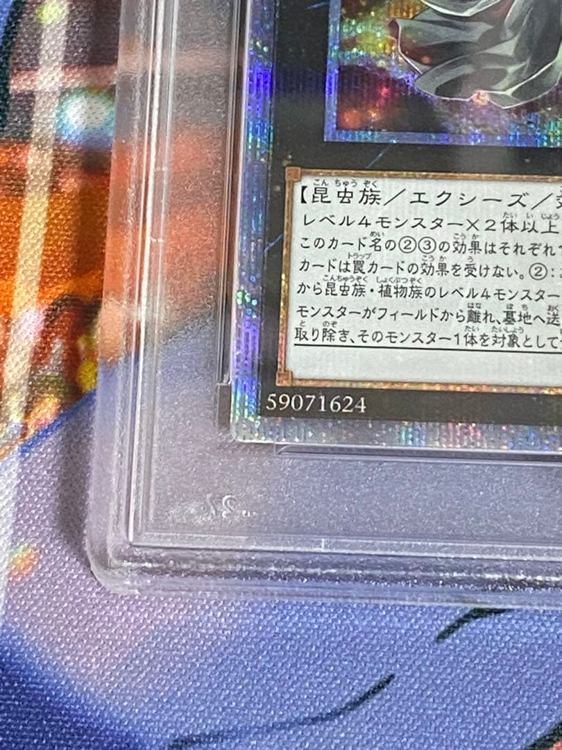 最安値　遊戯王　アロメルスの蟲惑魔　20thシークレットレア PSA9
