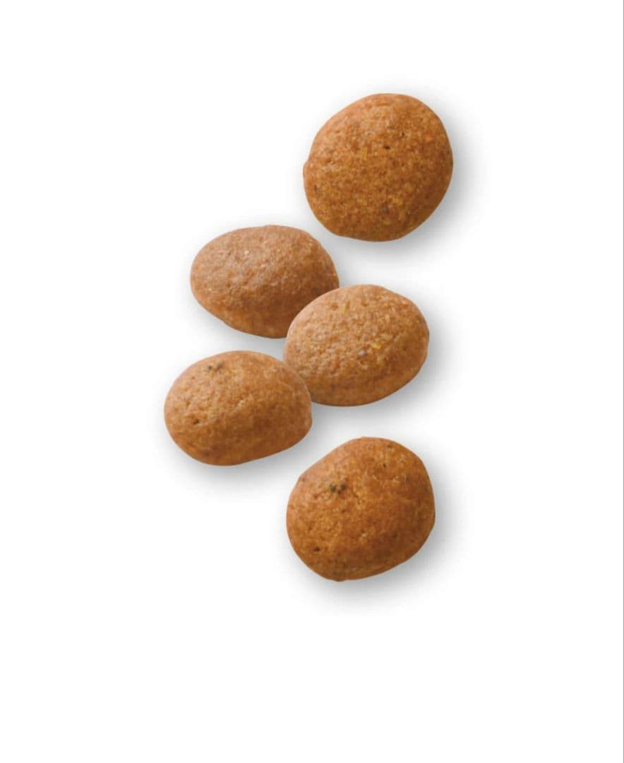 ロイヤルカナン　 〈高繊維〉消化器サポート 3kg×2袋セット　犬用　療養食