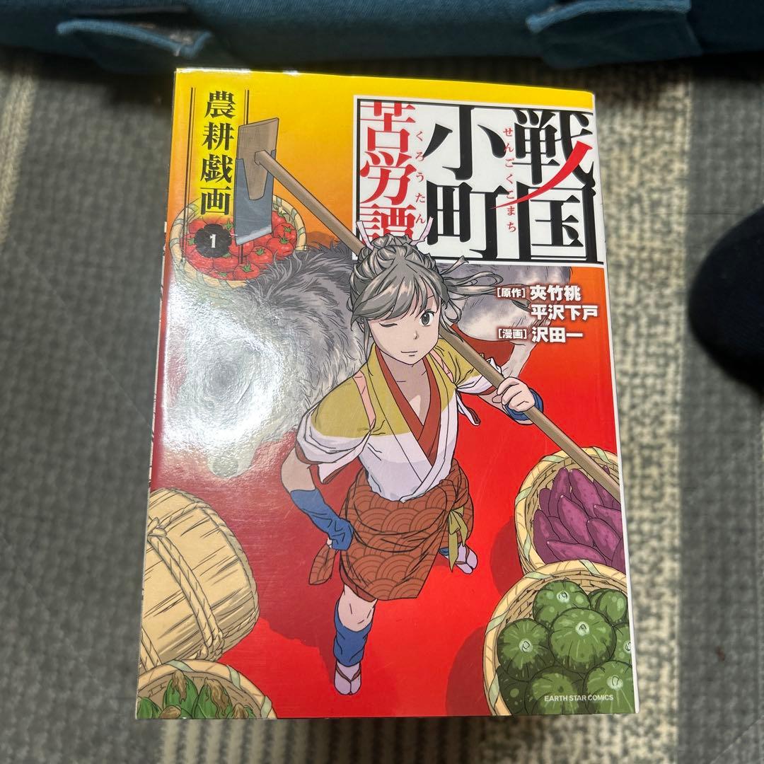 戦国小町苦労譚 全17巻セットいまさん専用です。