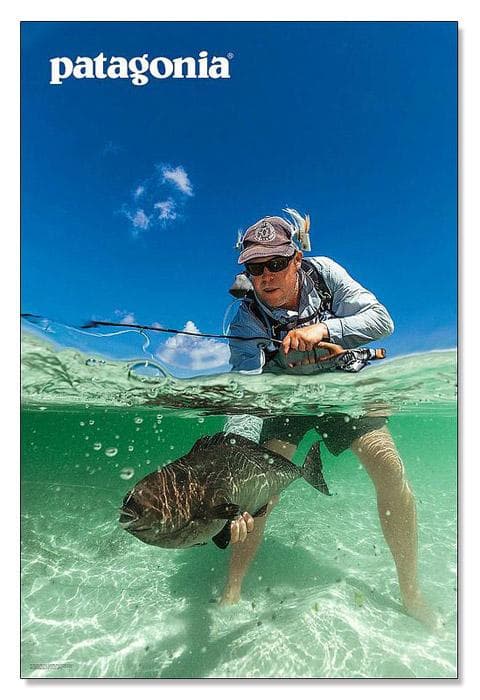 Edward Truter brings/パタゴニア/ポスター