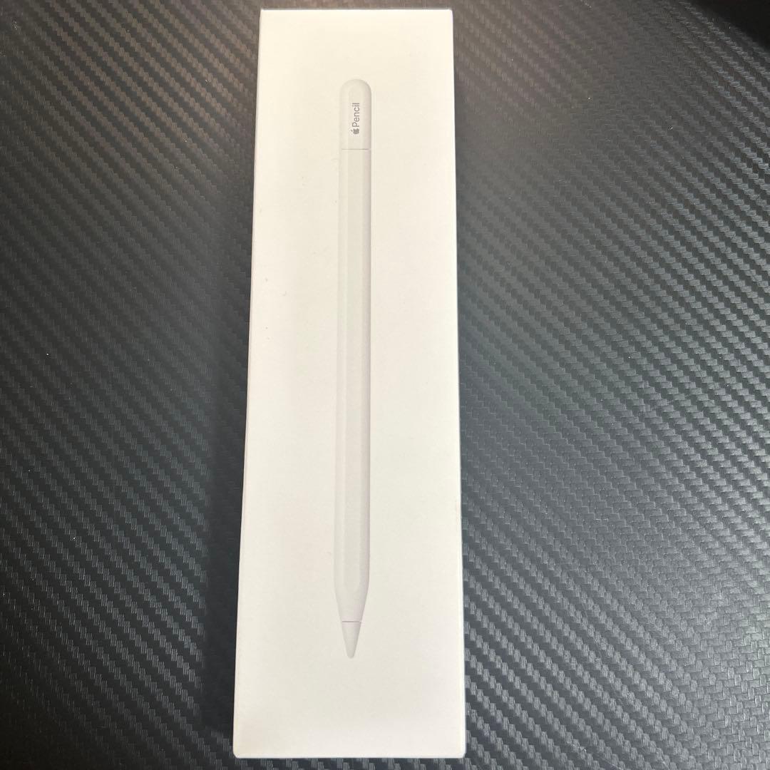 iPadアクセサリー Apple Pencil (USB-C)