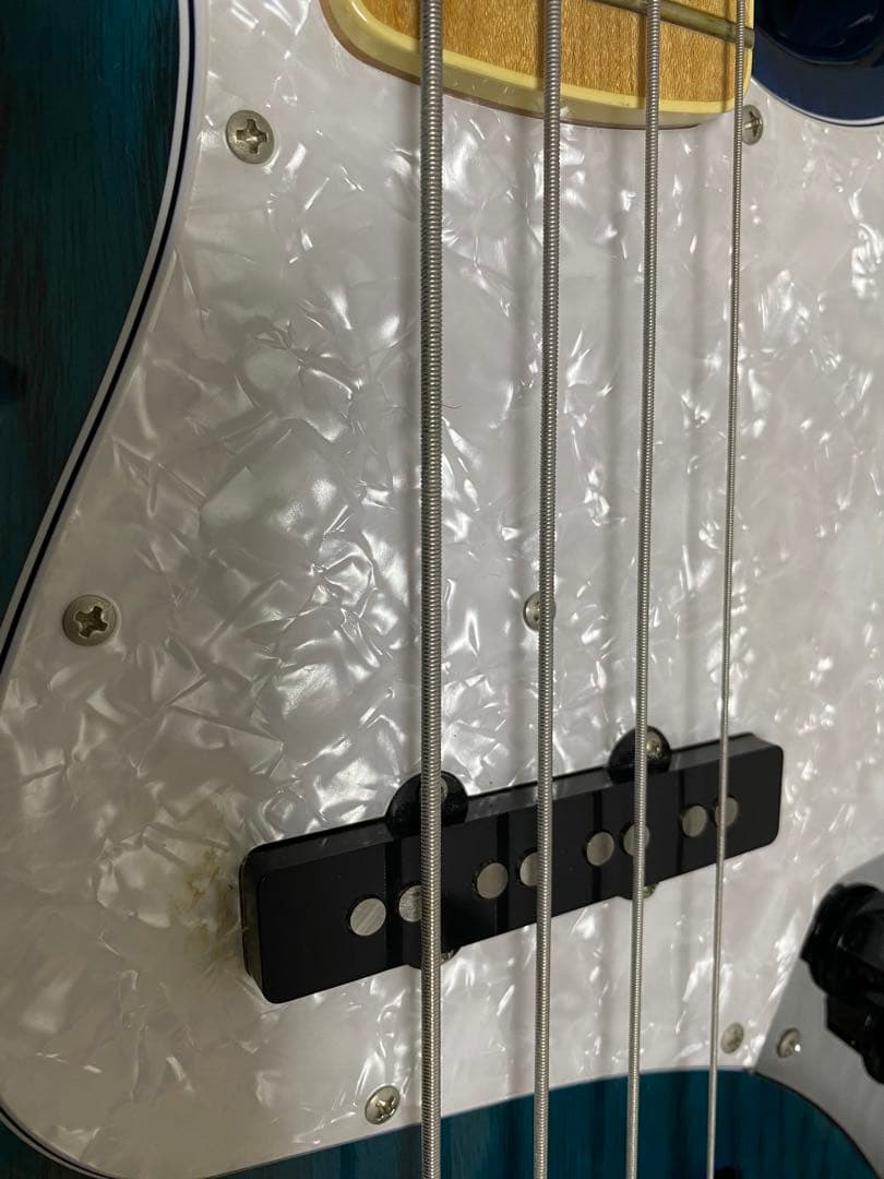 FUJIGEN SNJB101-SBB ネオクラシック