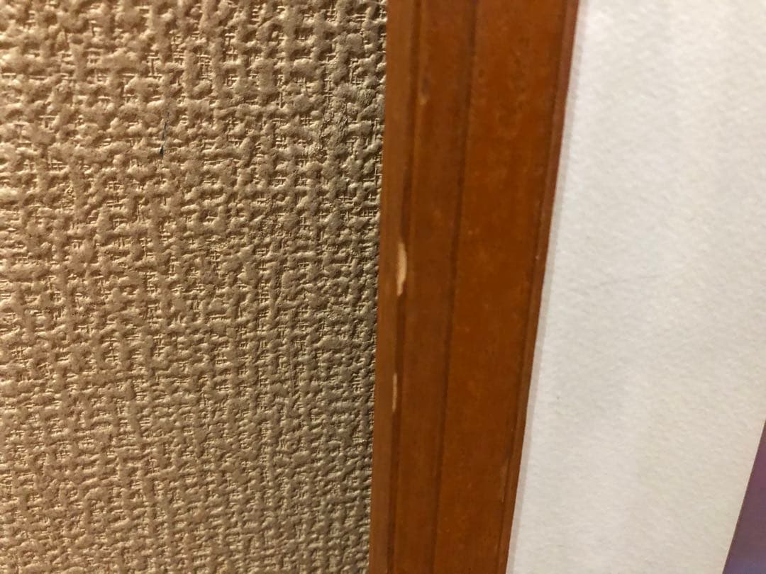 ディズニー　セル画　ファンタジア2000 ドナルド&デイジー