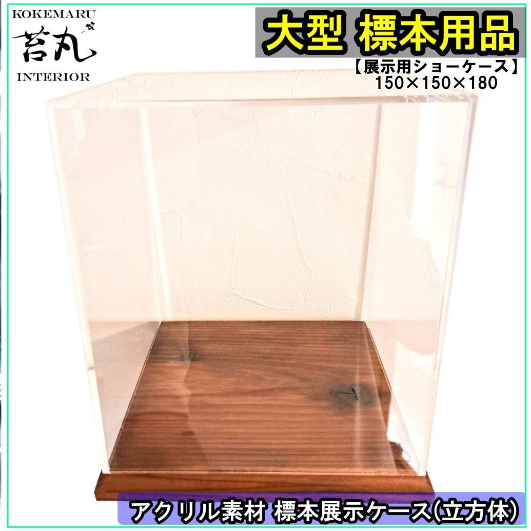 【ショーケース】150×150×180 ※アクリル製ケース、無垢材土台