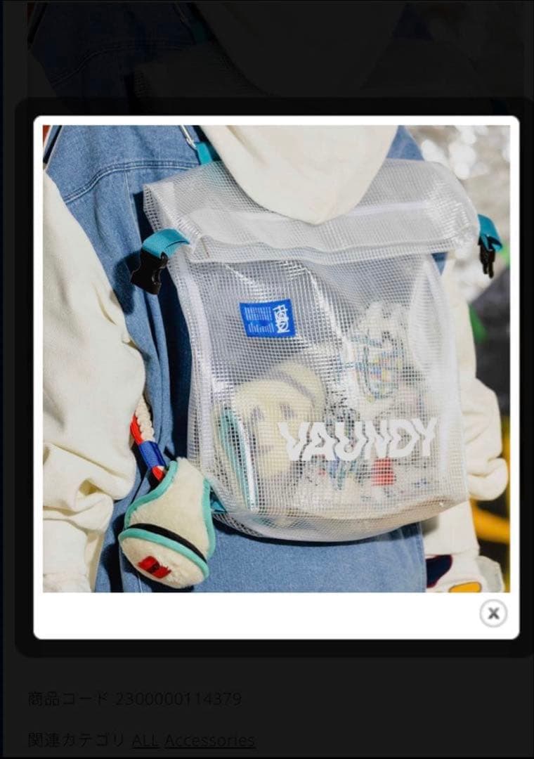 ミュージシャン VAUNDY FUSION multi tote bag