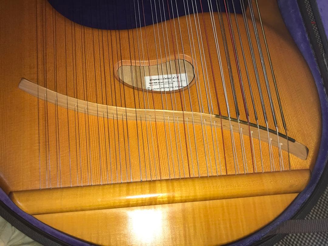 最終値下げ　19日発送　ゲルトナーテノーラライアー46弦