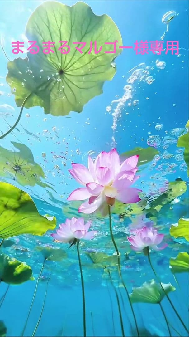 まるまるマルゴー　ミッション Yミルク✕4本