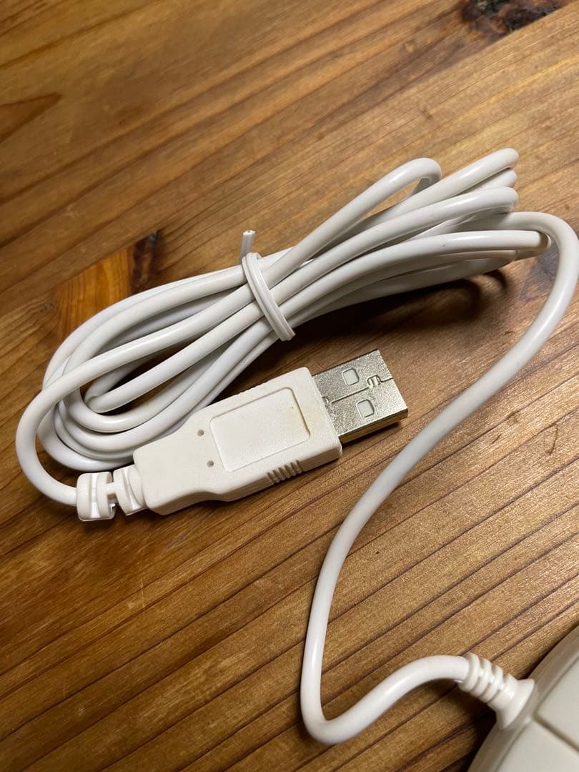 激レア出品！非売品⭐︎ ルミ姉USBマウス