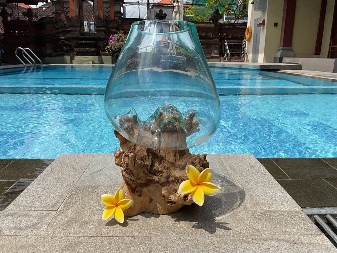 【新入荷】フィッシュボール(流木ガラス水槽)L size