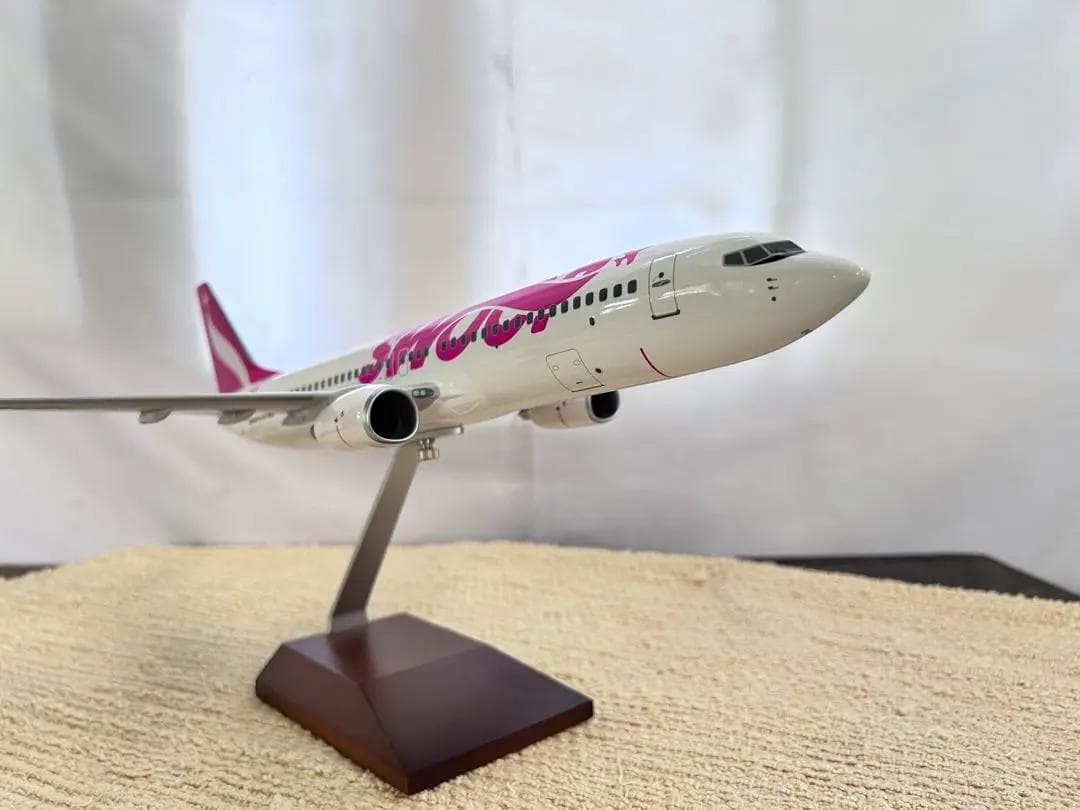 DARON / ダロン｜SWOOP / スウープ｜B737-800｜1/100