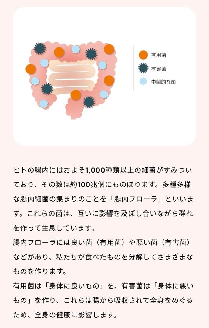 Vet’Labo V-Base ヤクルト ベッツラボ ブイベース