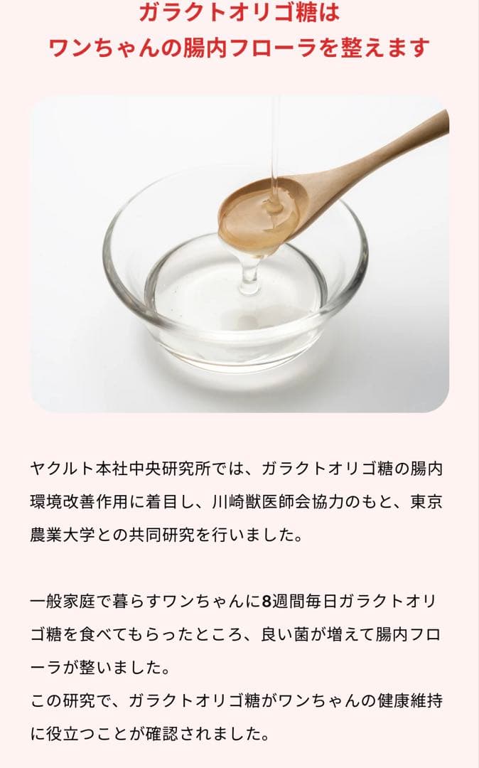 Vet’Labo V-Base ヤクルト ベッツラボ ブイベース