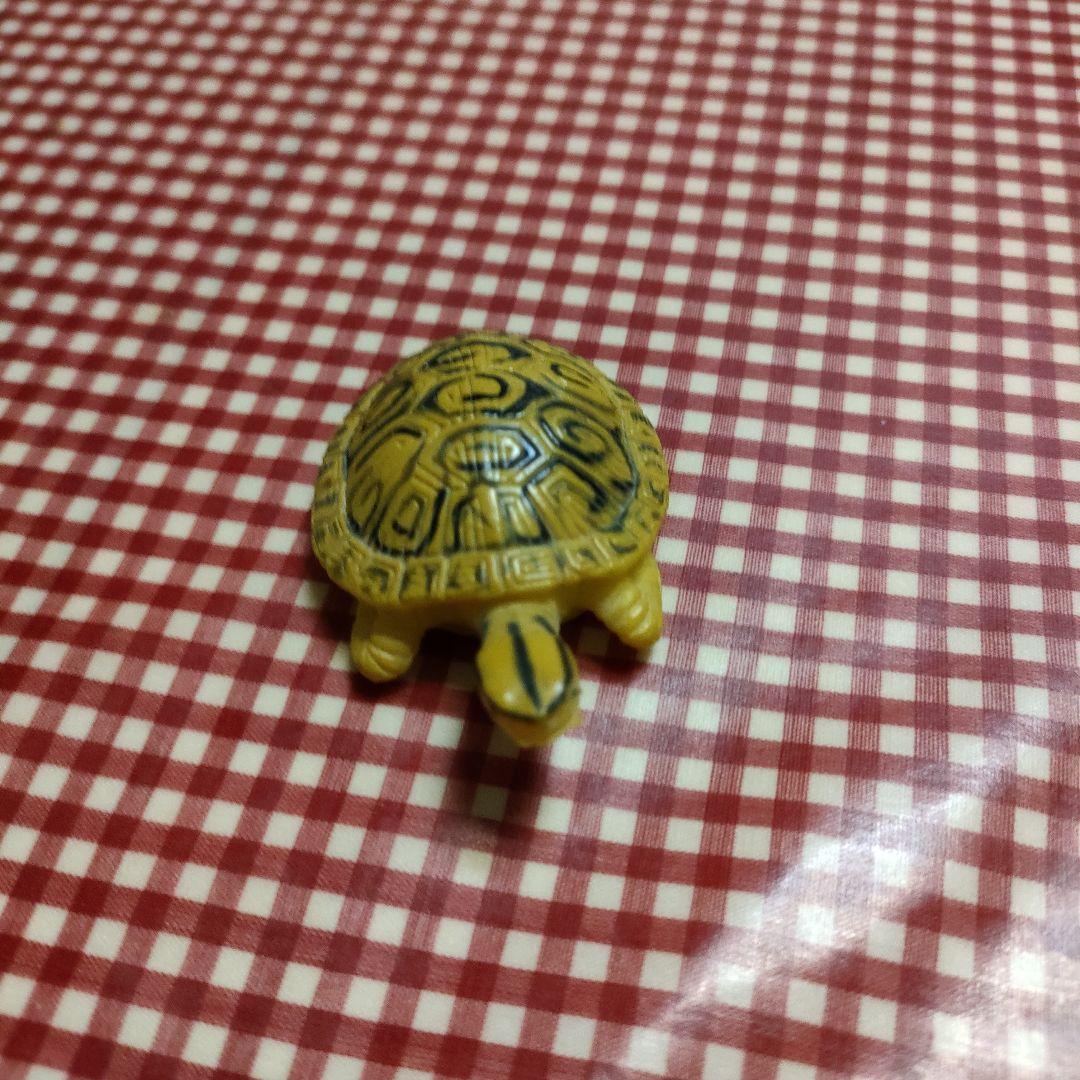 亀のフィギュア