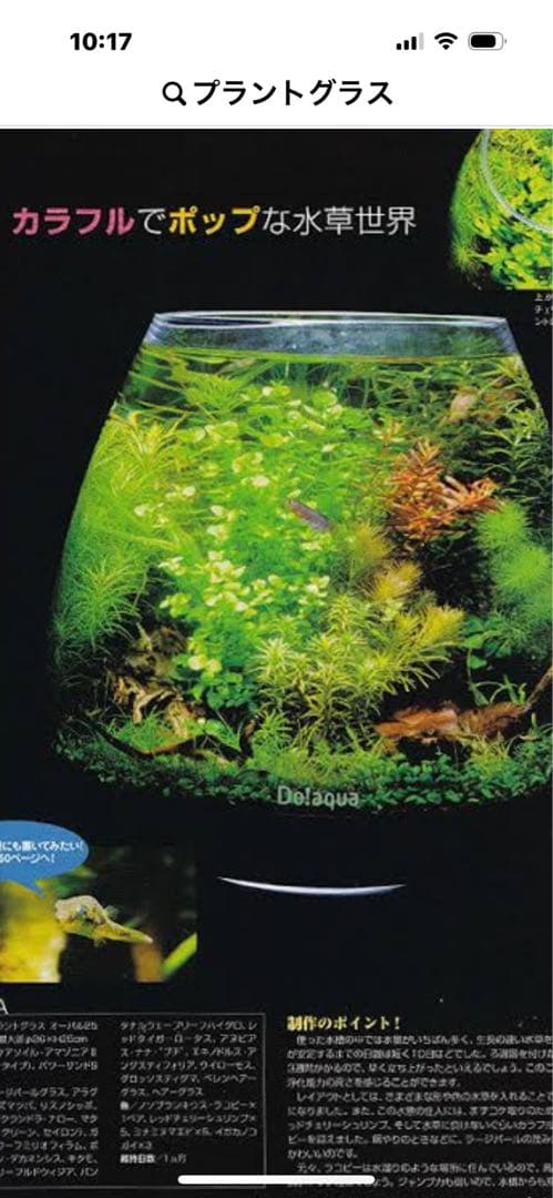 廃盤未使用　ADA Do!aquaプラントグラス・オアシス レアコレ