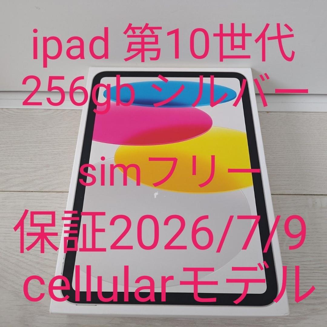 iPad 第10世代 256gb WiFi cellular シルバー