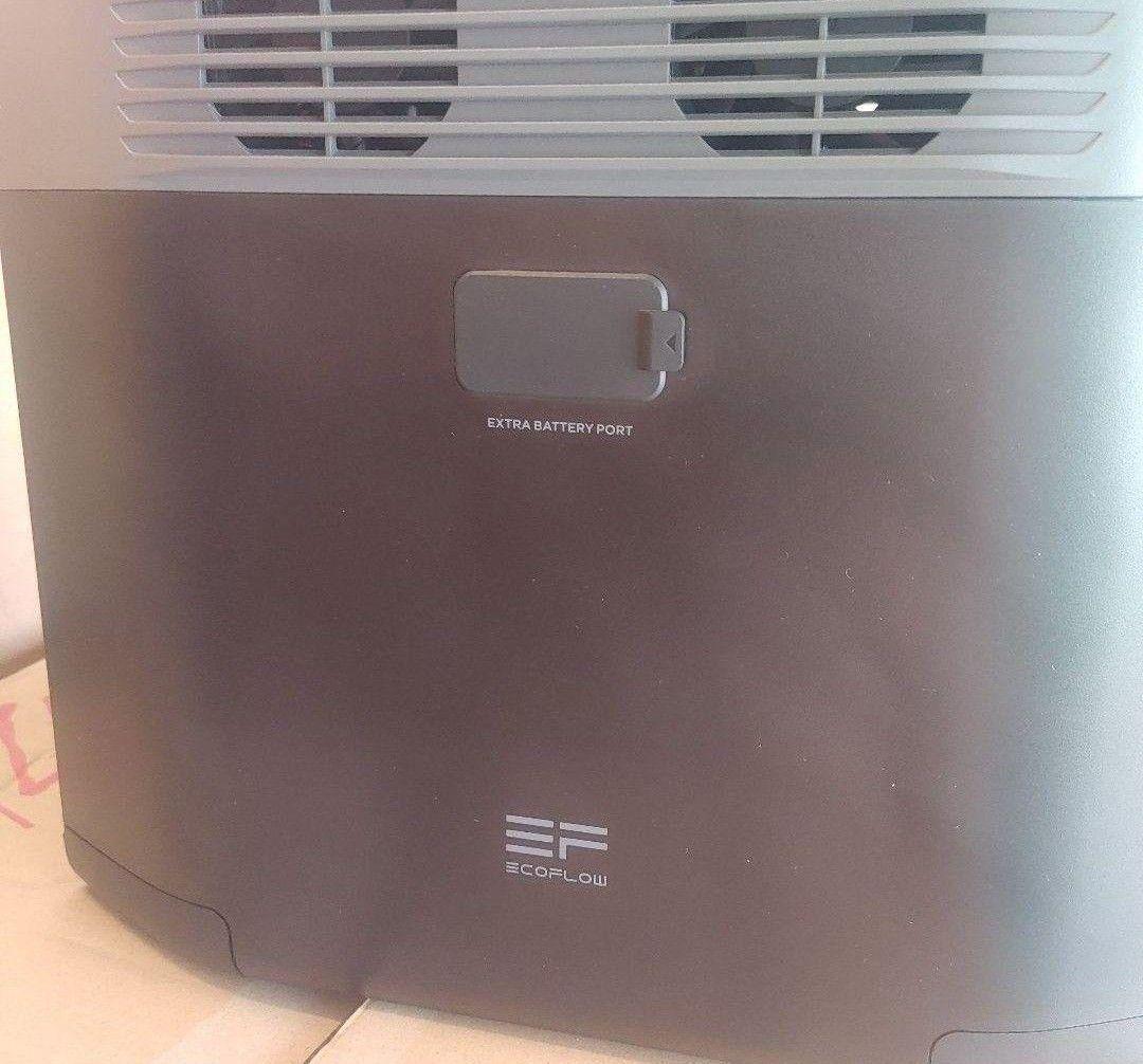 た*ん様 正規整備済品　EcoFlow DELTA 2 ポータブル電源