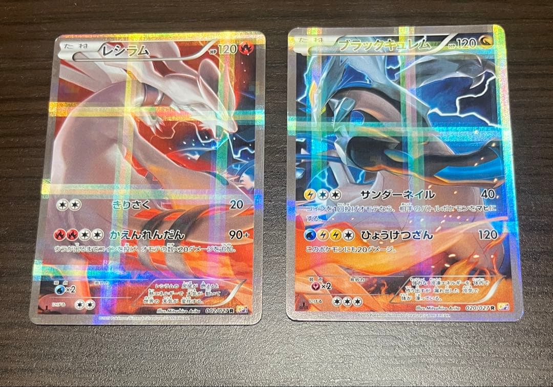 レシラム & ブラックキュレム