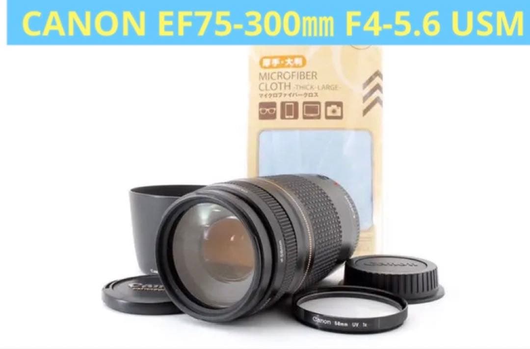 望遠レンズ/一眼レフカメラ/CANON EF75-300㎜ F4-5.6 USM