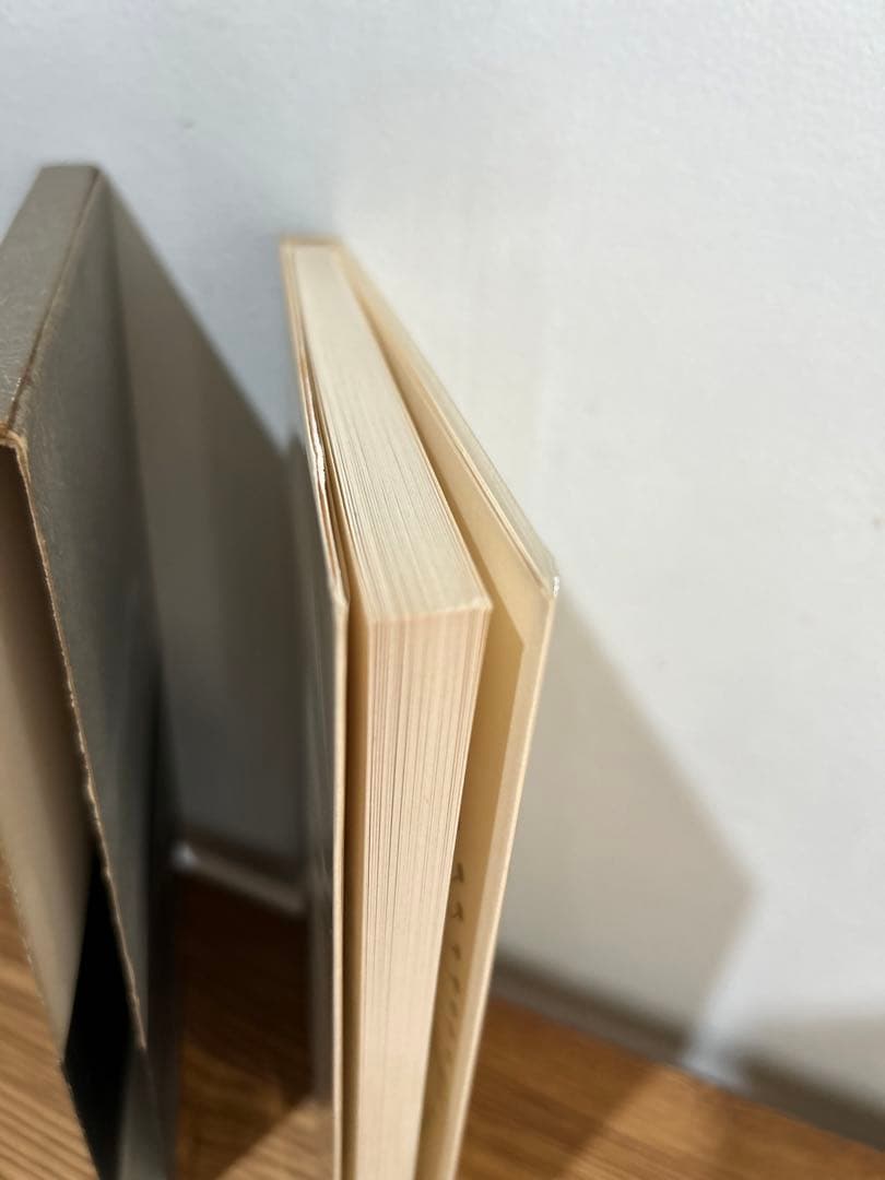 希少　絶版　平出隆 胡桃の戦意のために 単行本