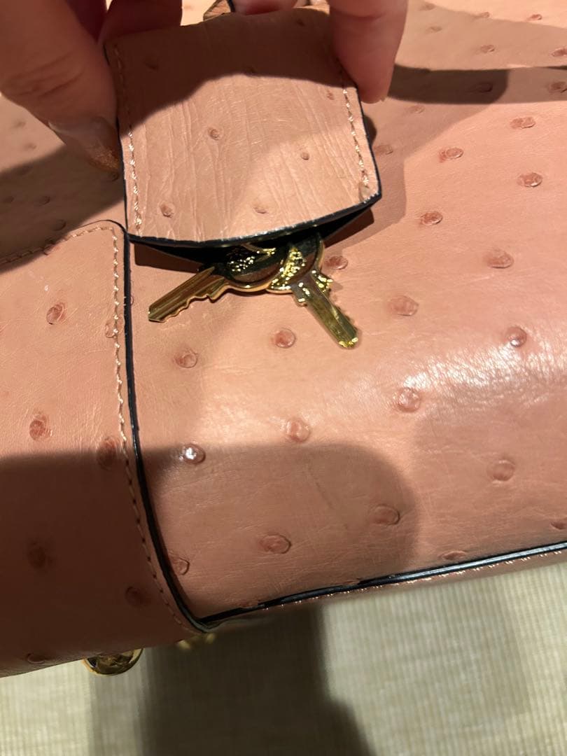 希少　美品　オーダー品　ロエベ　アマソナ36 オーストリッチ　定価200万