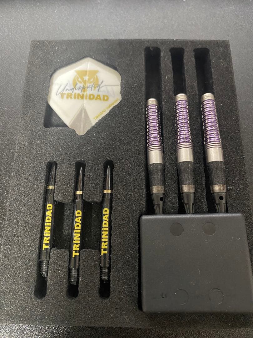 岩田夏海　TRINIDAD ROMERO Type 2 ダーツセット
