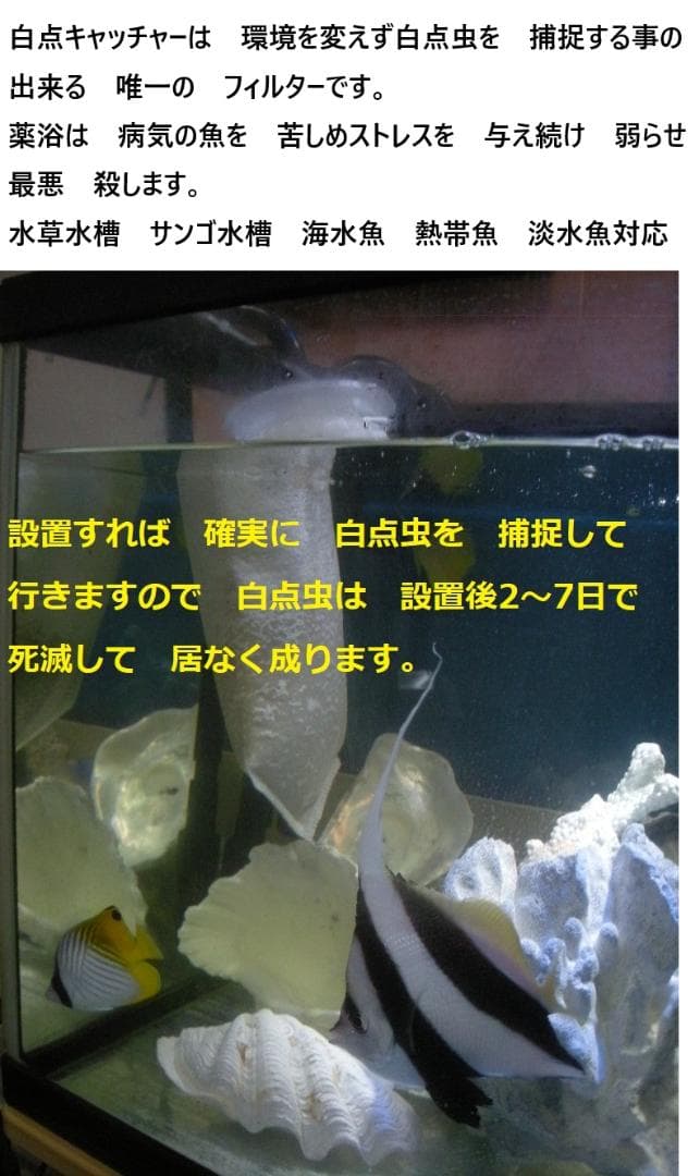 まっちゃん　水槽用UV殺菌灯　UVバズーカ 　ゼンスイ　海水　淡水　対応