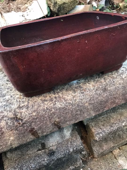 盆栽鉢　時代盆栽鉢部銭号長方鉢美しい紅色梨皮