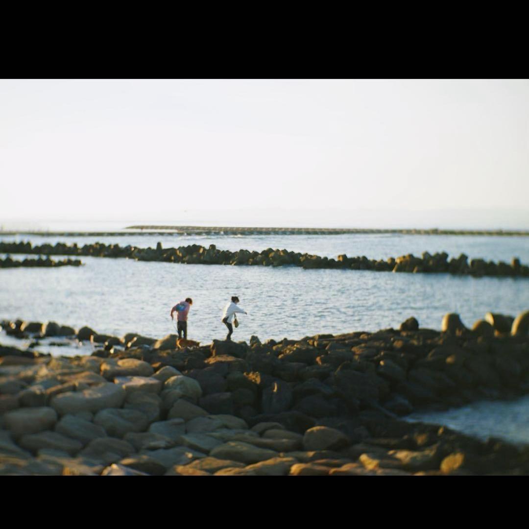 単焦点レンズ 35mm F1.6 オリンパス,OMシステム用マイクロフォーサーズ