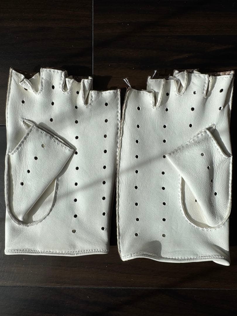 新品未使用！CAUSSE（コース／ガンコス）パイソン×レザーグローブ